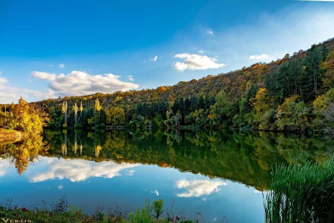 Hotel Villa Kaylaka Pleven Eksteriør bilde